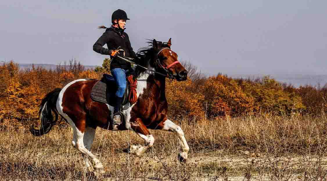 Jodhpurs With Phone Pockets VS No Jodhpurs With Phone Pockets