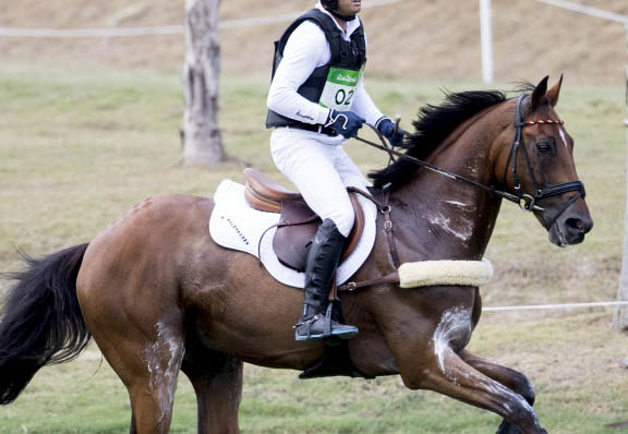 horse riding pants