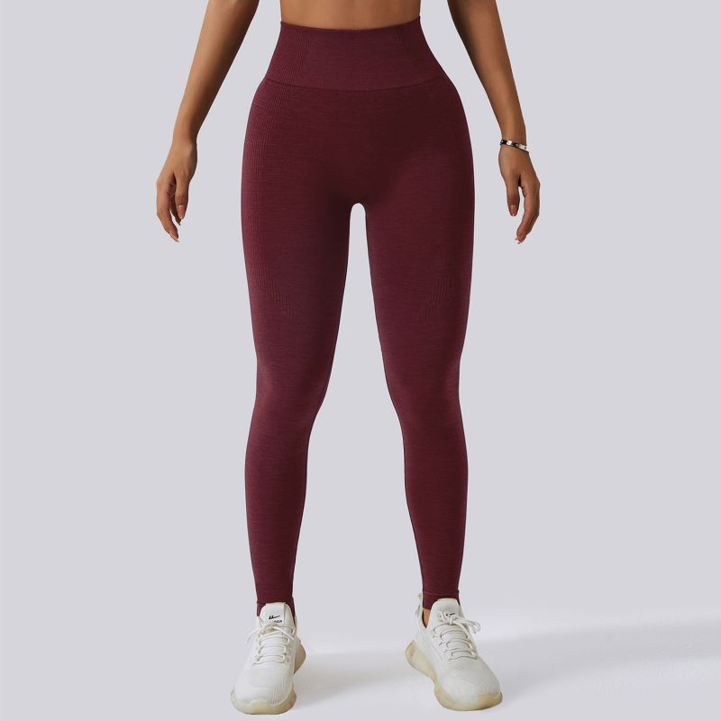 Seamless Hip Lift High Waist Quick Dry Gym Pants